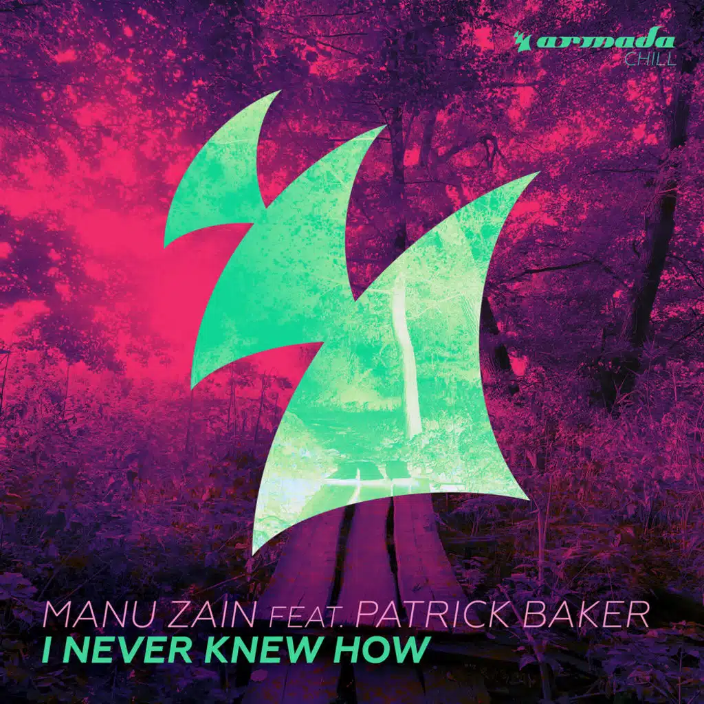 I Never Knew How (Original Mix)
