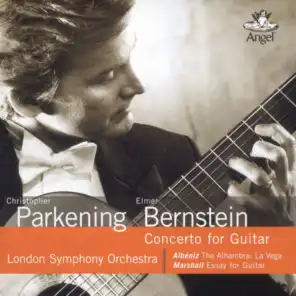 II. Reflections from Concerto for Guitar & Orchestra for Two Christophers