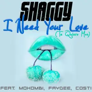 I Need Your Love (Te Quiero Mas) [feat. Mohombi, Faydee & Costi]
