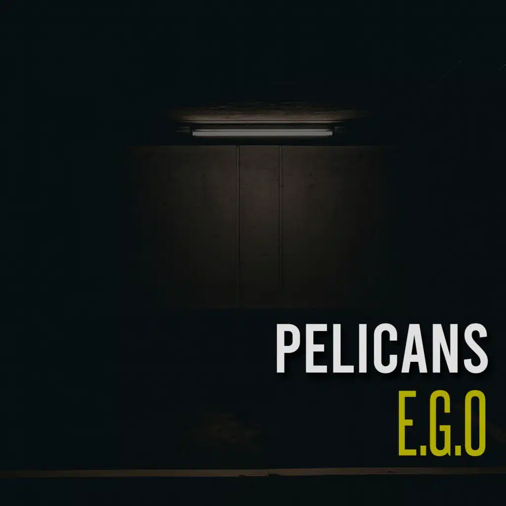 Pelicans (feat. JF & Noir)