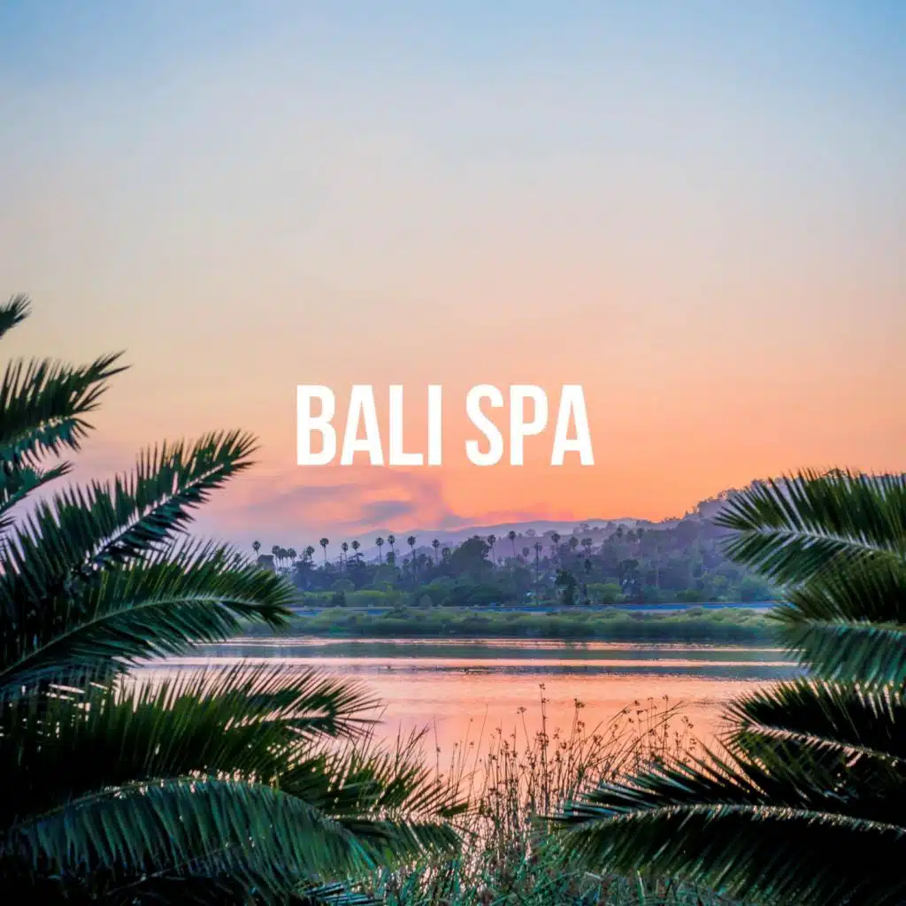 Secret Garden (Guitar Mix)