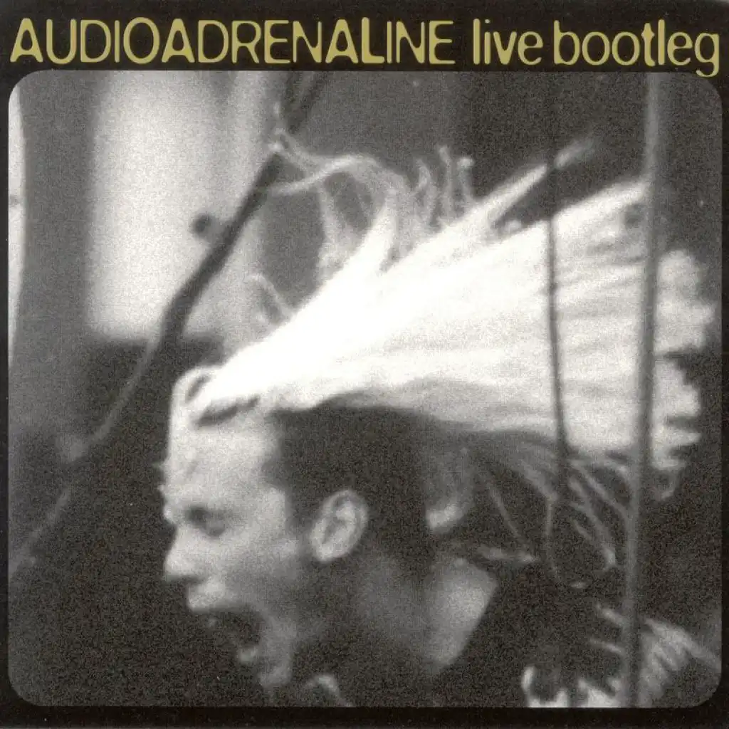 Soulmate (Live Bootleg Album Version)