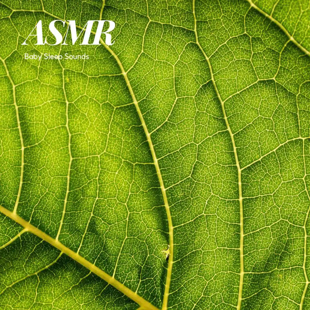 Rain ASMR Raining Sounds Nature