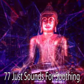 77 Just Sounds for Soothing