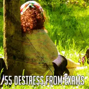 55 Destress from Exams