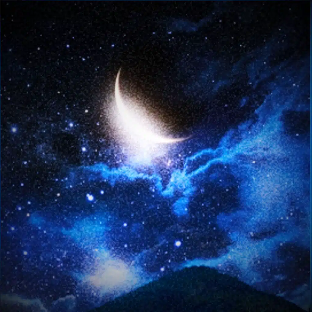 The Wheels on the Bus