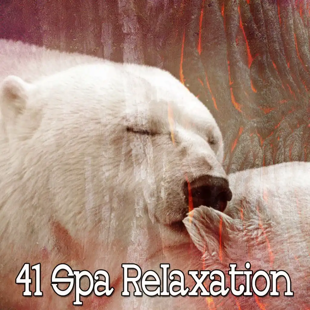 41 Spa Relaxation