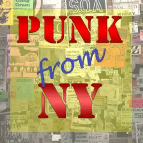 Punk From NY, Vol.1