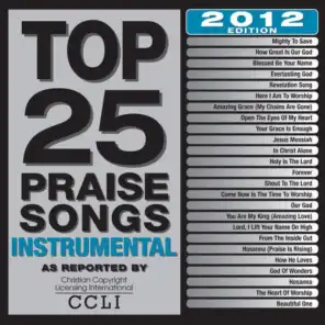 Top 25 Praise Songs Instrumental (2012 Edition)