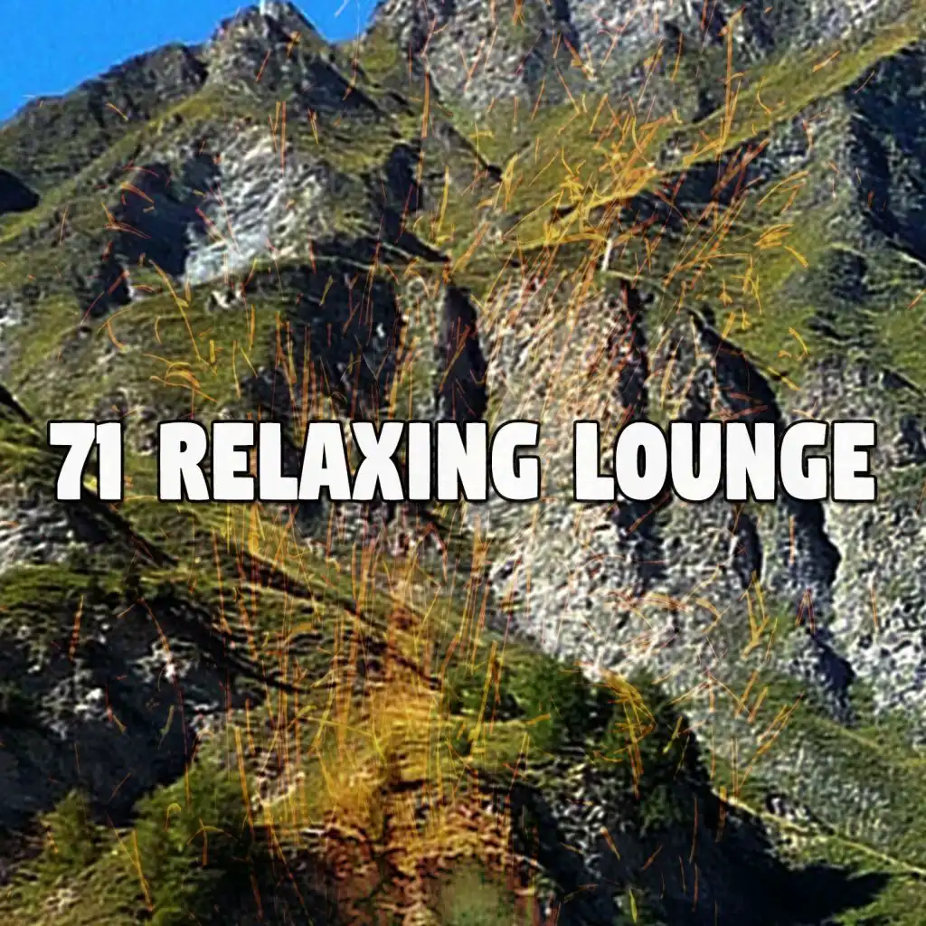 71 Relaxing Lounge