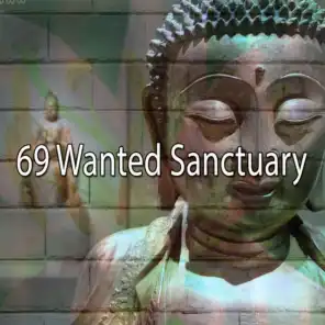 69 Wanted Sanctuary