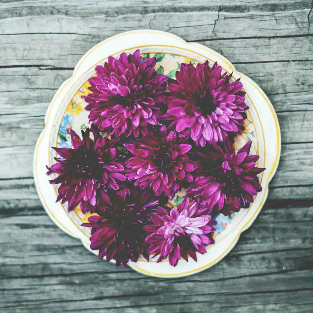 Condensacion (Ambient Relax & Meditation Edit)