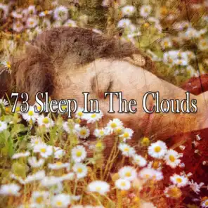 73 Sleep in the Clouds