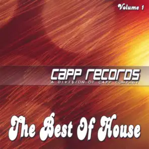 The Best Of House, Vol 1
