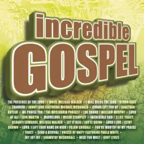 I Will Bless The Lord (Incredible Gospel Album Version)