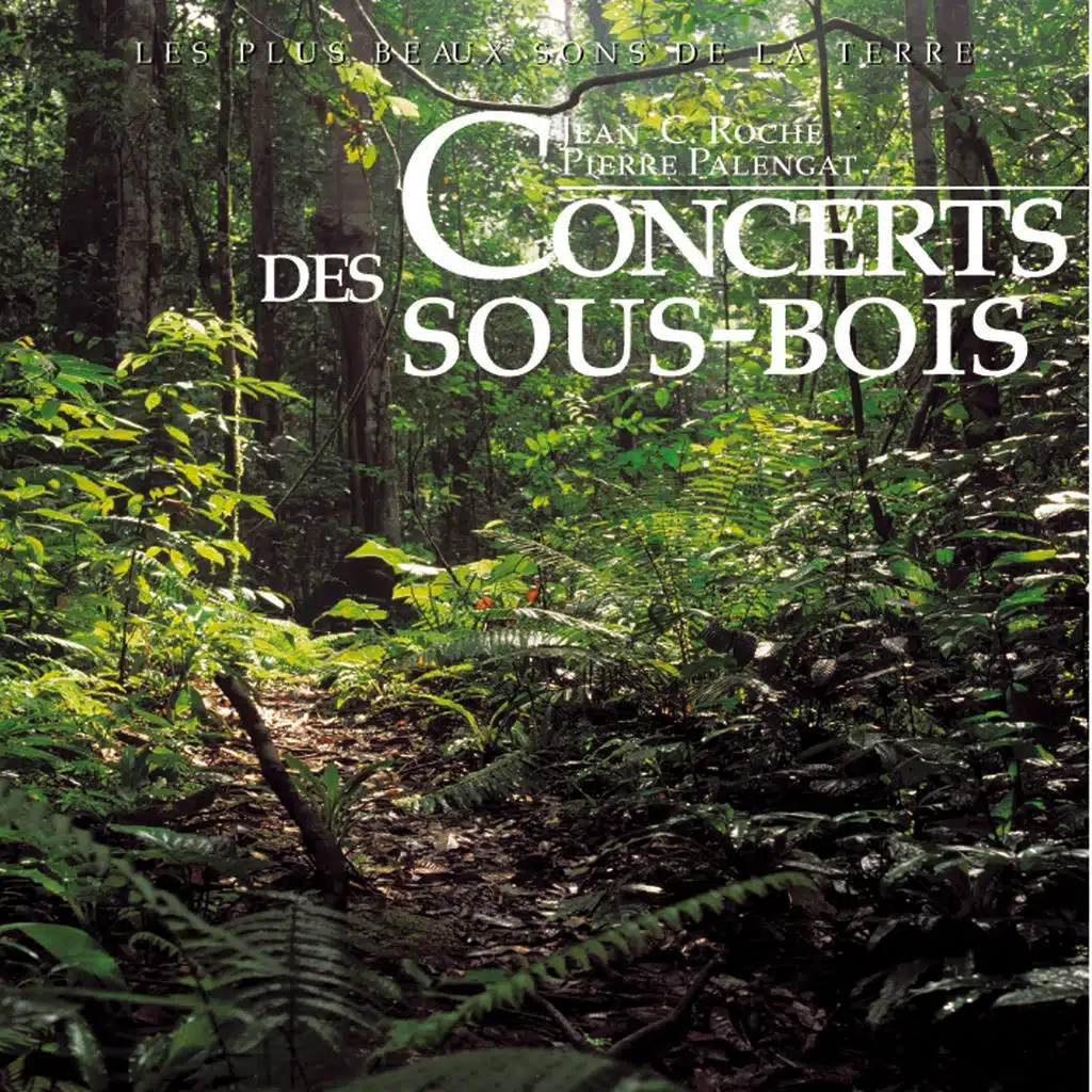 Concerts des sous-bois