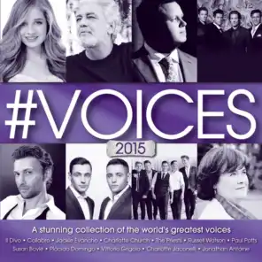 #VOICES 2015