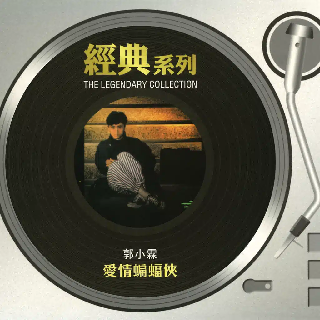 愛情蝙蝠俠 (Robin Mix)