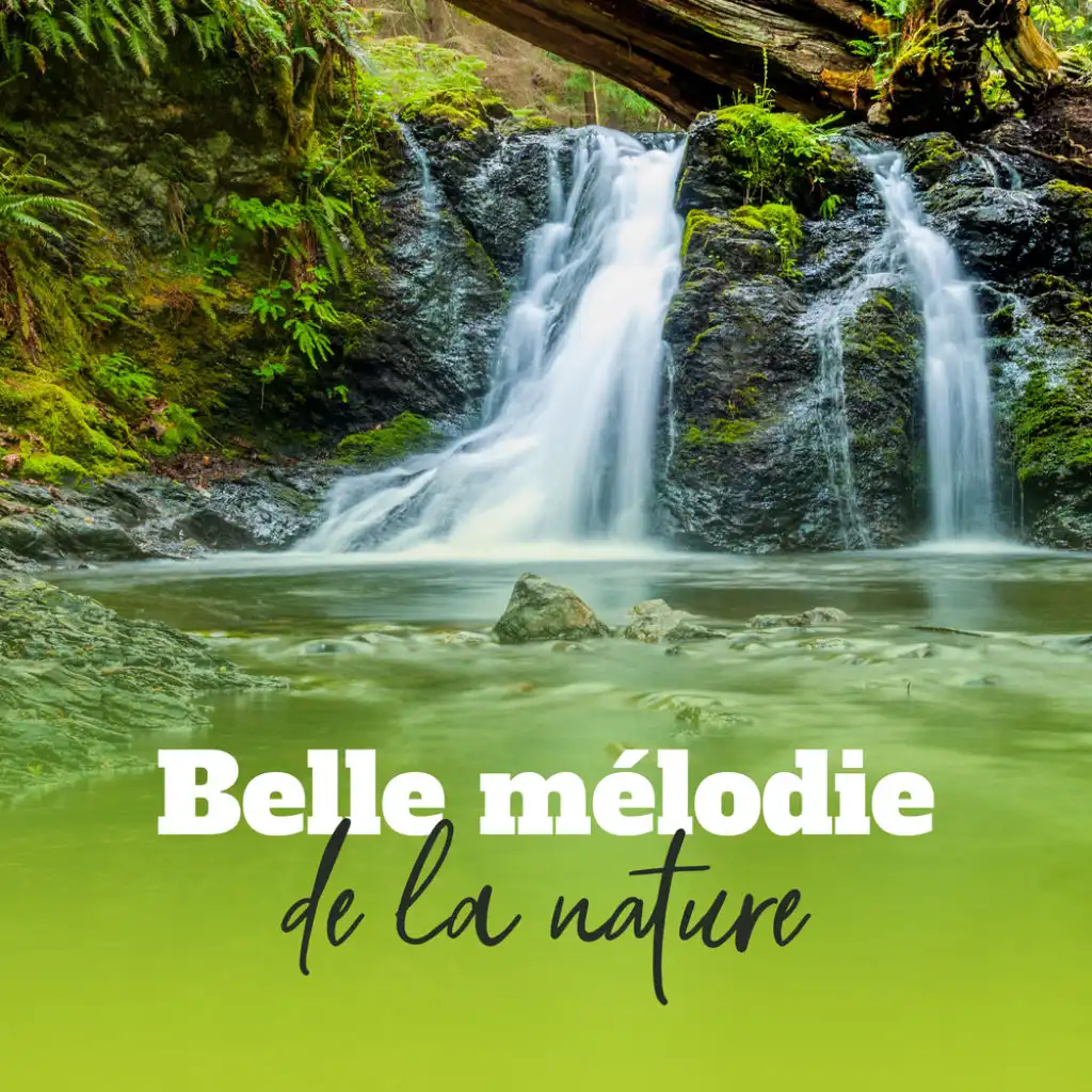 Belle mélodie de la nature (feat. Zen Méditation Ambiance)