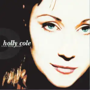 I've Just Seen A Face (feat. Holly Cole)