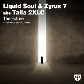 The Future (Liquid Soul Radio Edit)