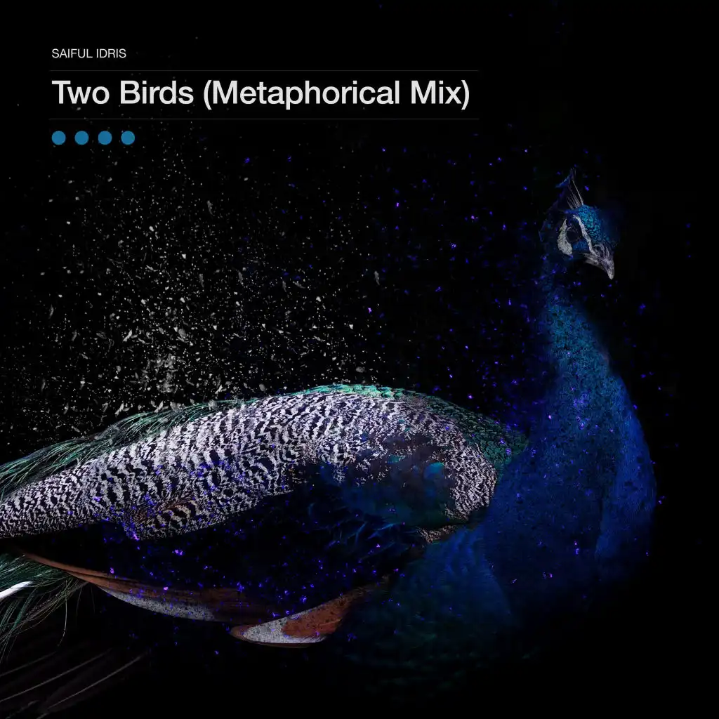 Two Birds (Metaphorical Mix)