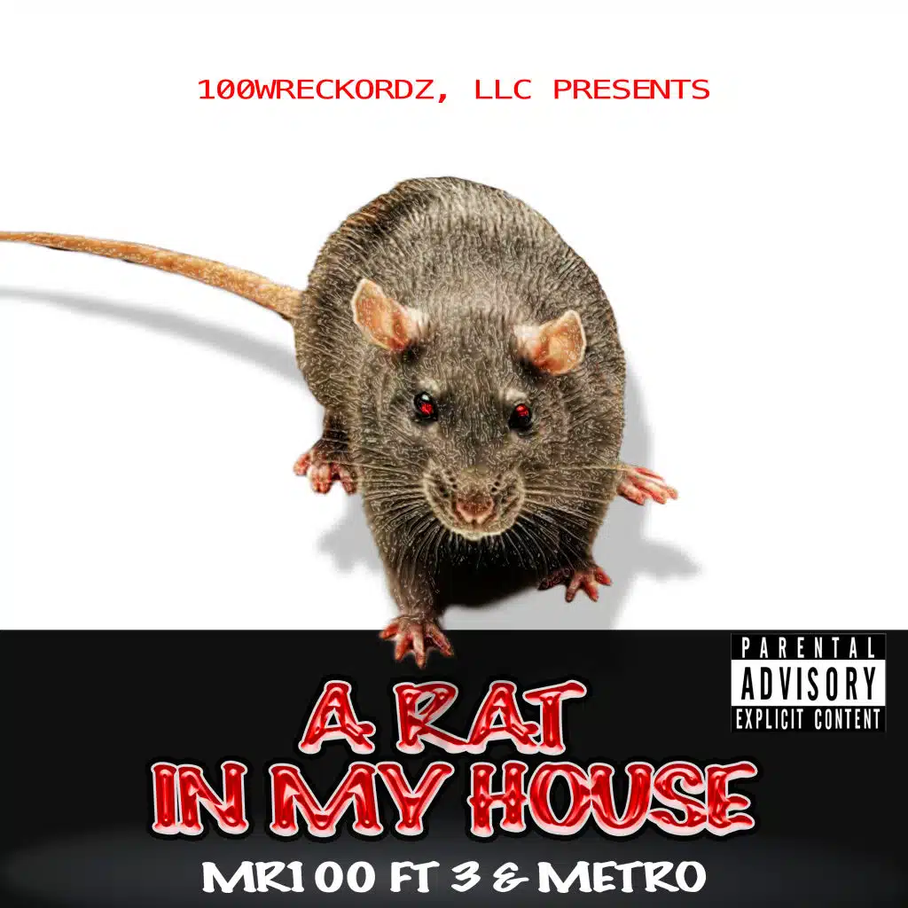 A Rat in My House feat 3 & Metro (feat. 100Wreckordz LLC)