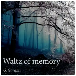 Waltz Of Memory