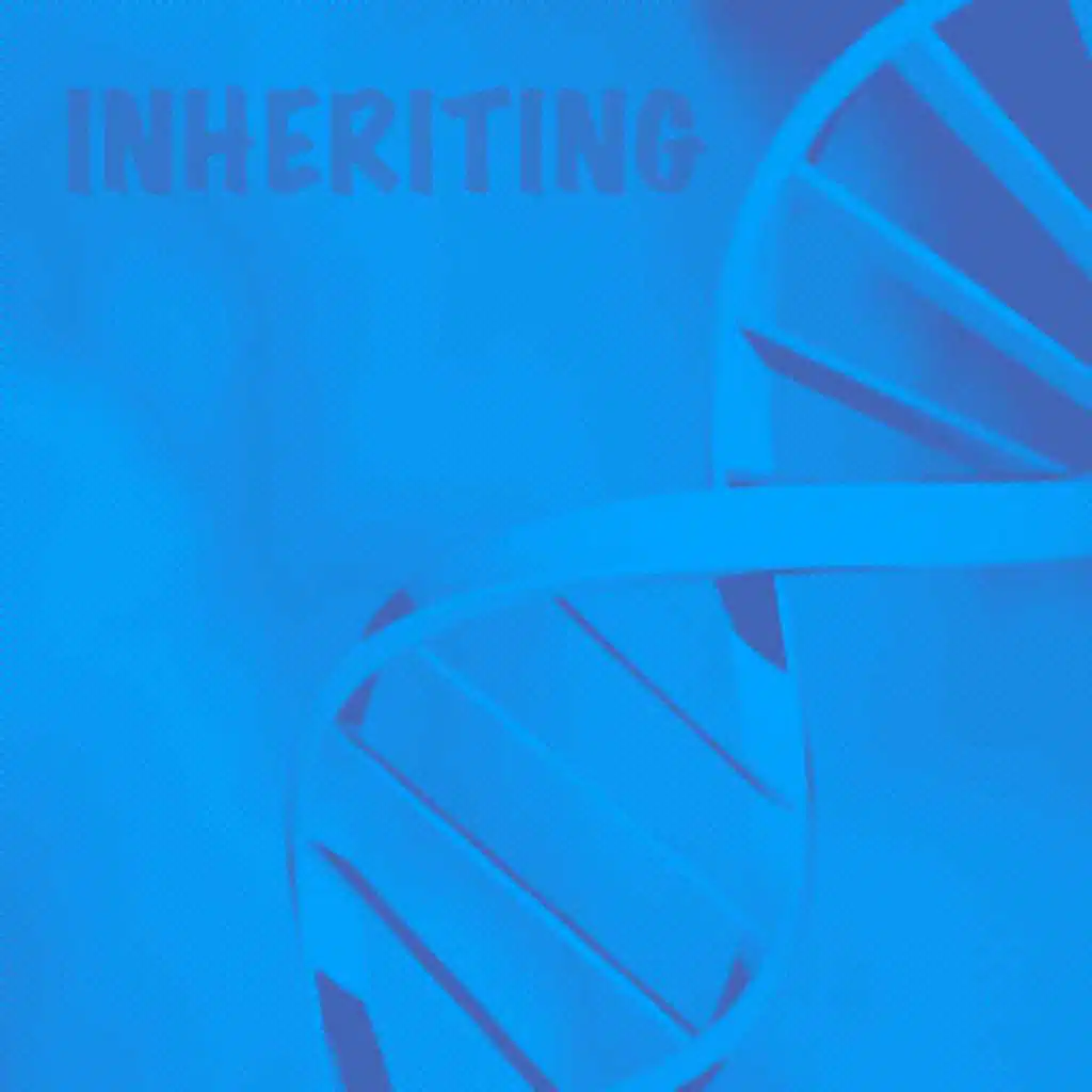 Inheriting