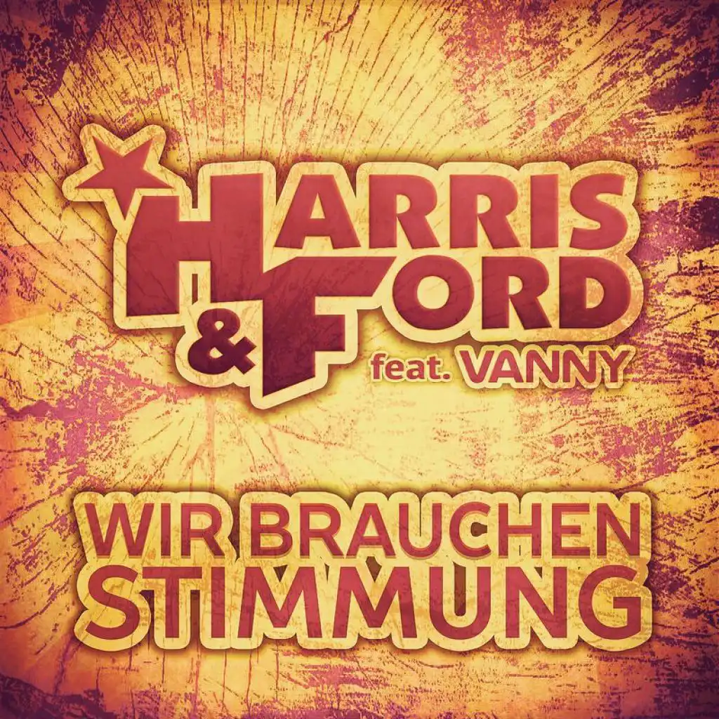 Wir brauchen Stimmung (Radio Edit) [feat. Vanny]