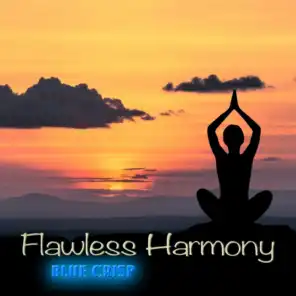 Flawless Harmony (2012 Ambience Mix)