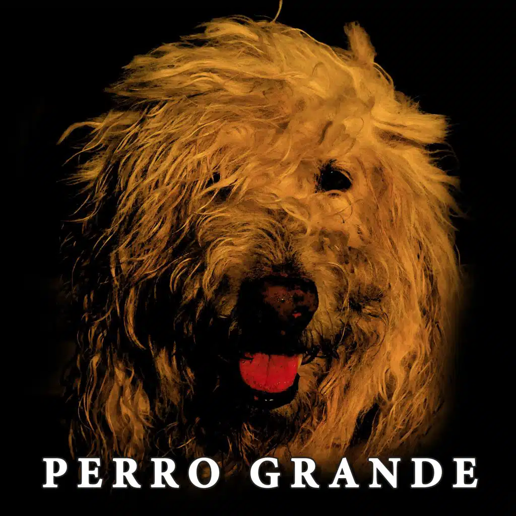 Perro Grande