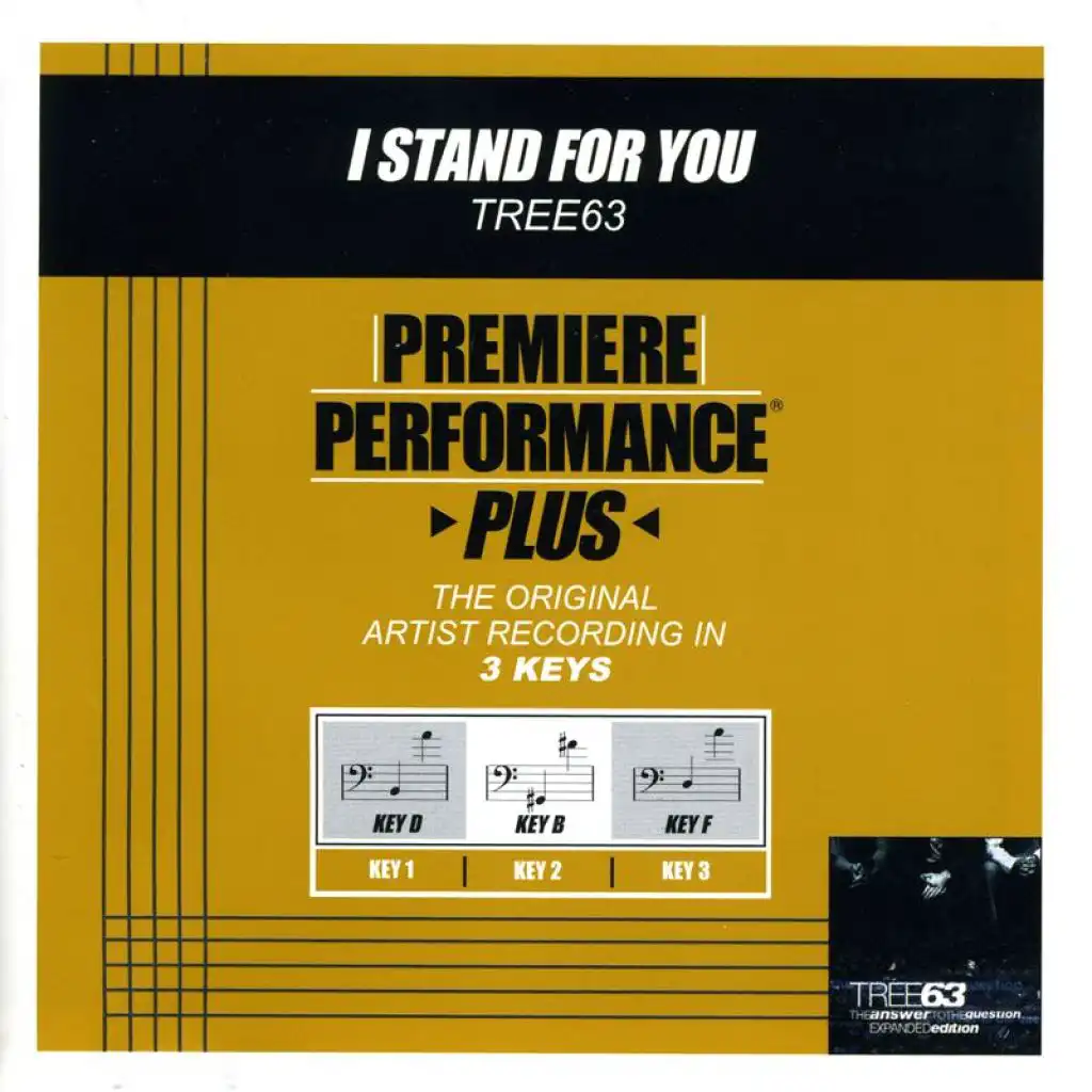 I Stand For You (Performance Track In Key Of D With Background Vocals / TV Track)