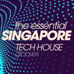 The Essential Singapore Tech House Grooves