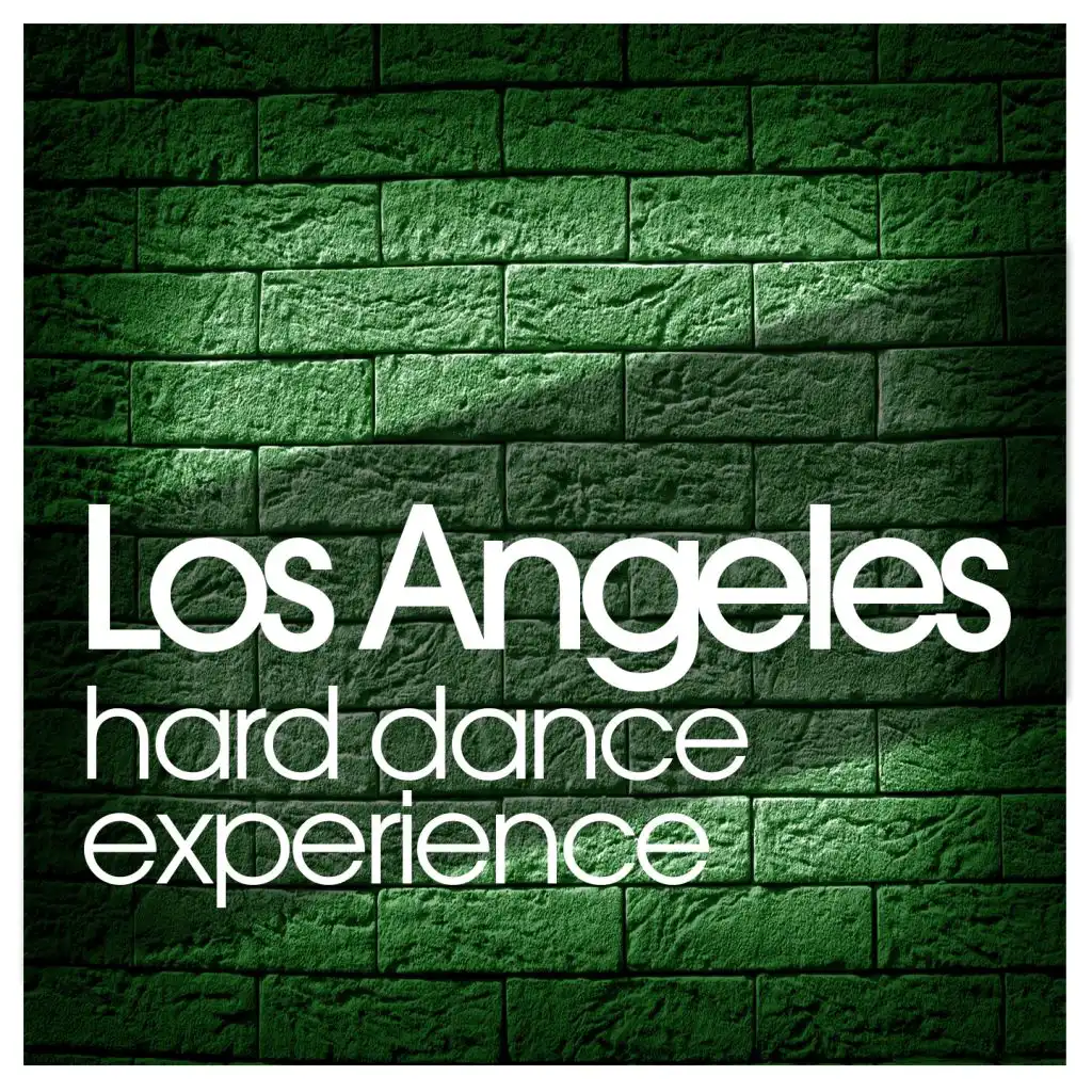Los Angeles Hard Dance Experience