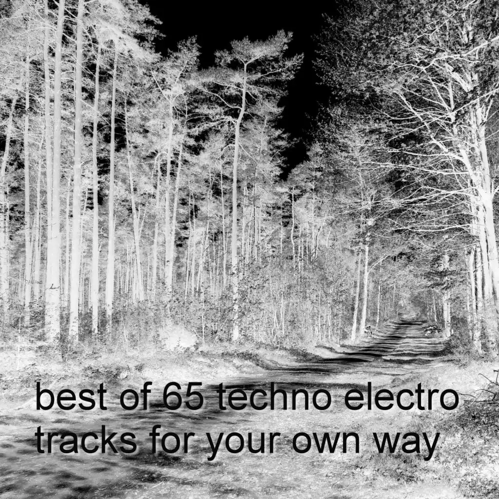Best of 65 Techno Electro Tracks for Your Own Way