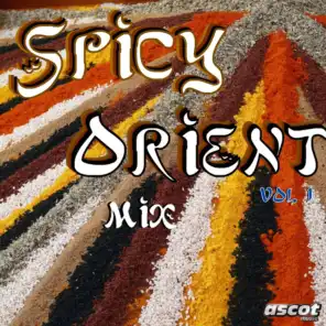 Spicy Orient Mix, Vol. 1