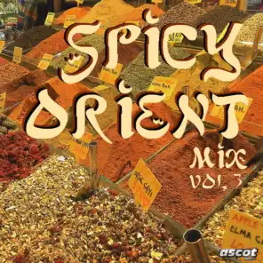 Spicy Orient, Vol. 3