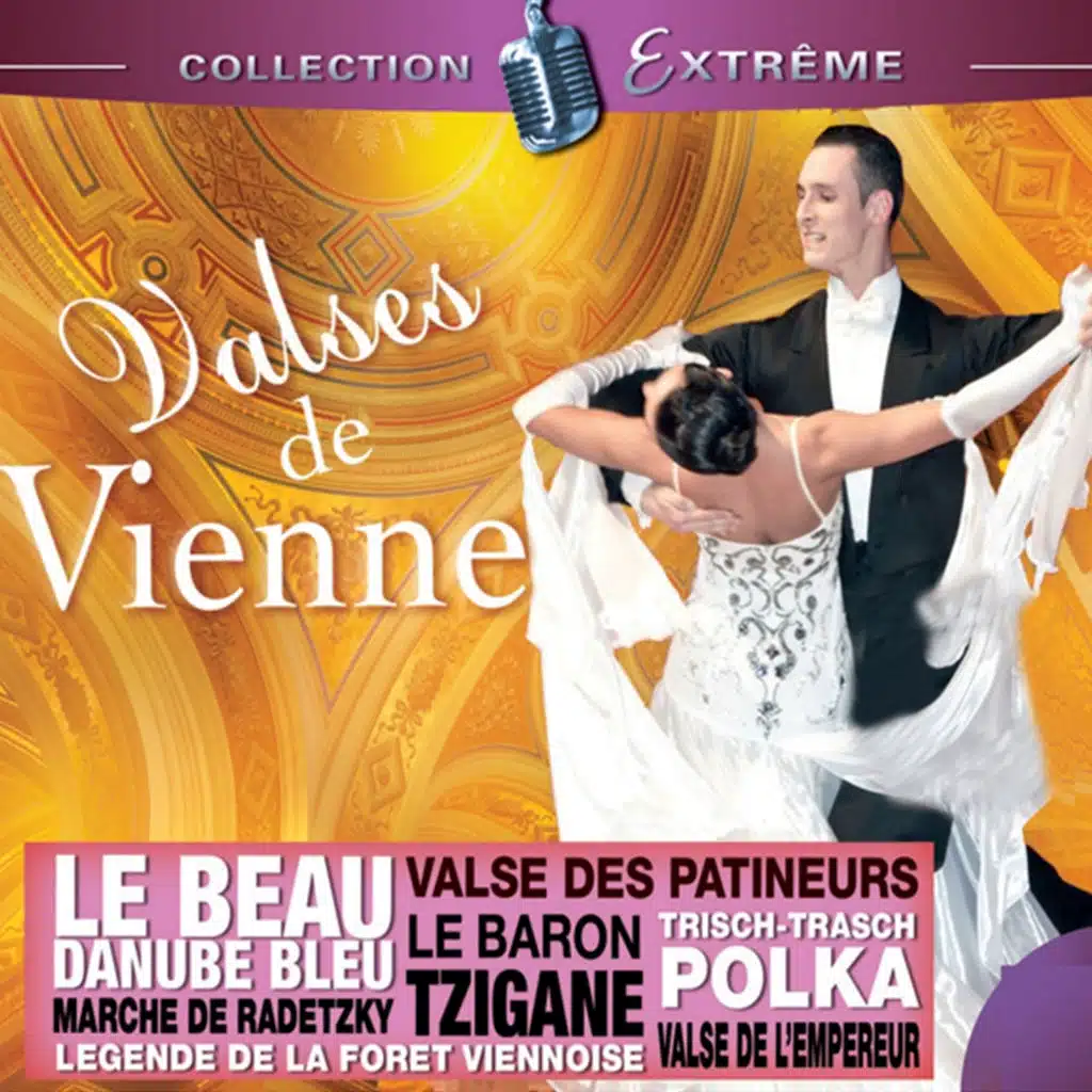 Valse Des Patineurs