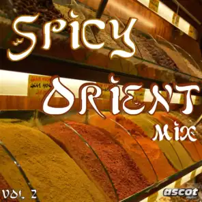 Spicy Orient Mix, Vol. 2