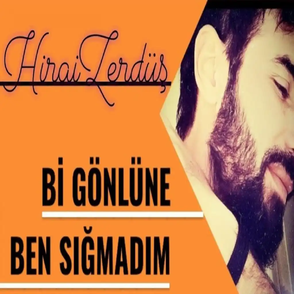 Bi Gönlüne Ben Sığmadım