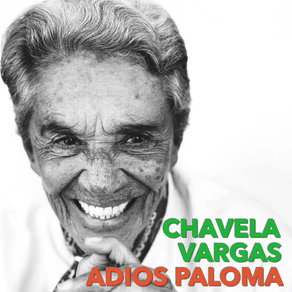Paloma negra