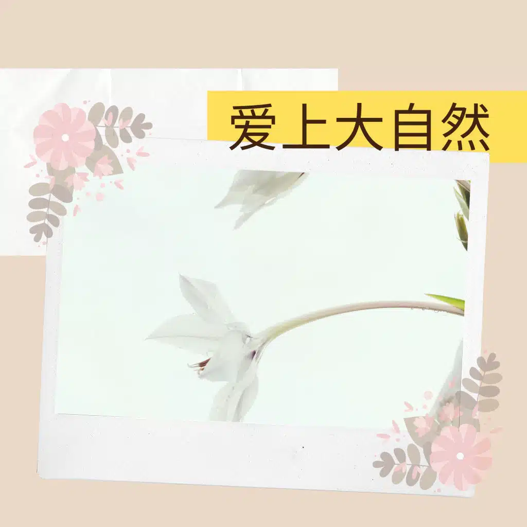 大自然背景