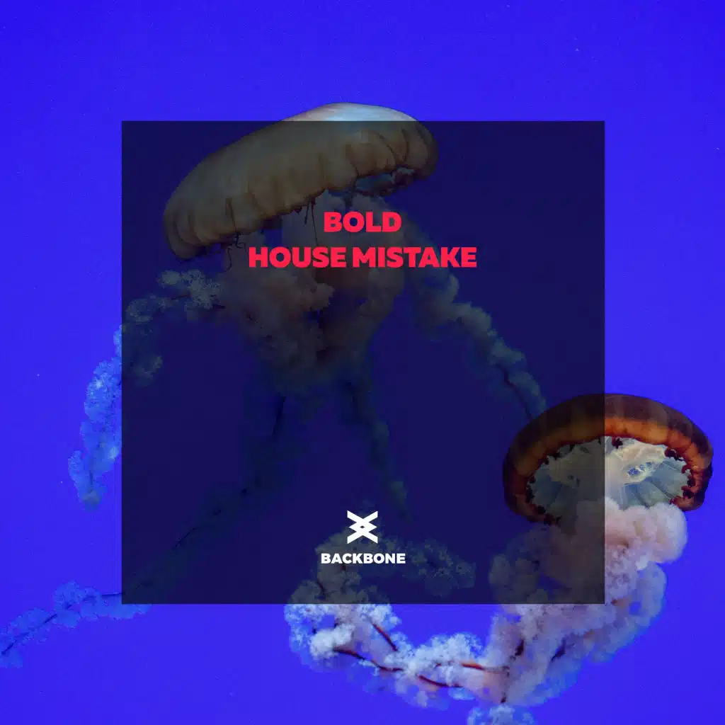 House Mistake