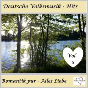 Deutsche Volksmusik-Hits: Romantik pur - Alles Liebe, Vol. 5