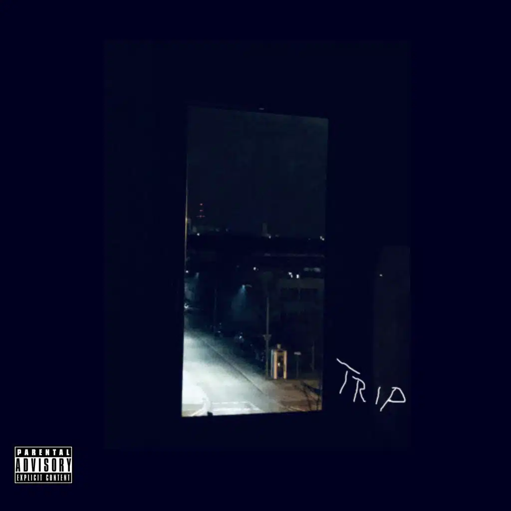 Trip
