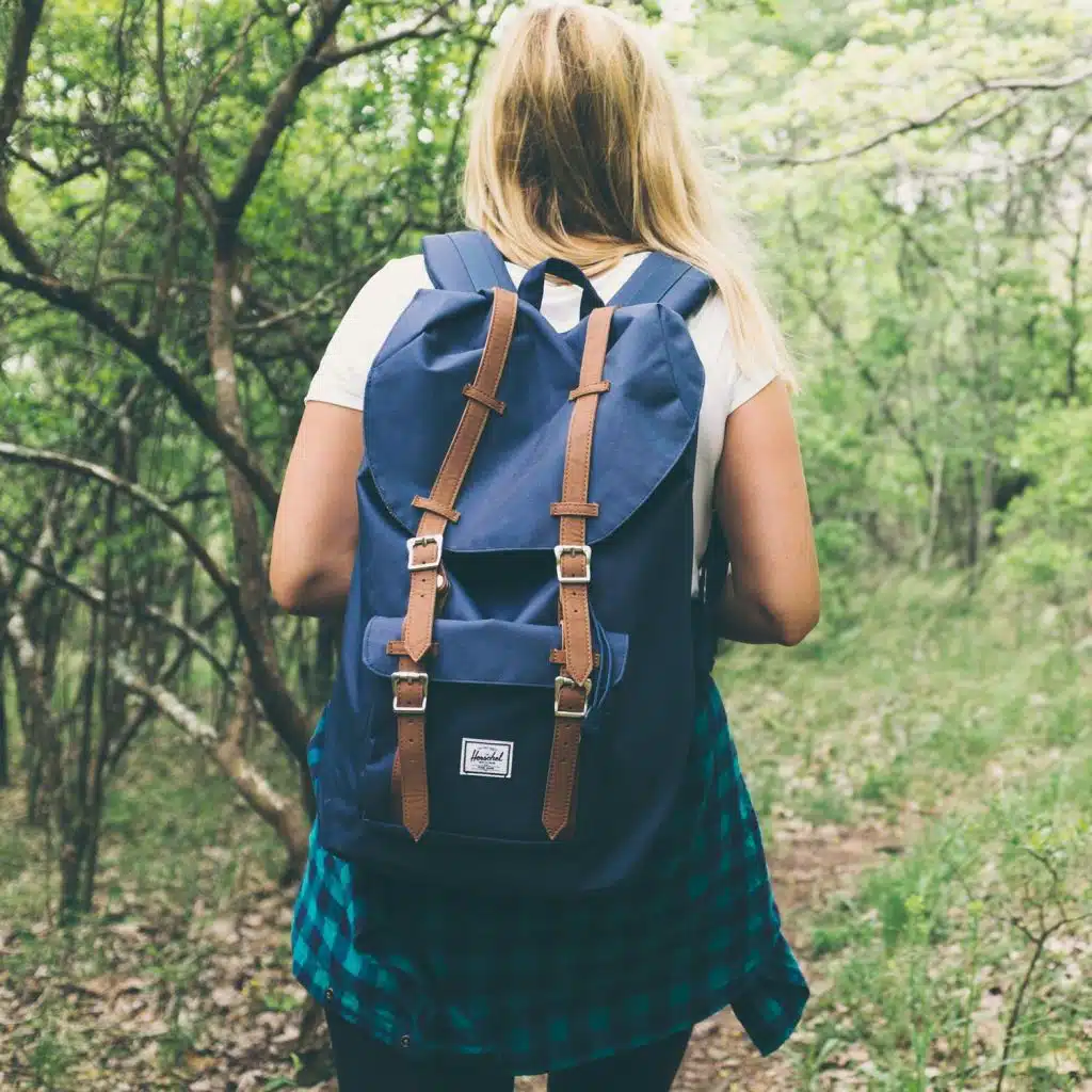 Forest & Birds & Water Sounds. Sleeping Baby Nature Loopable Sounds.