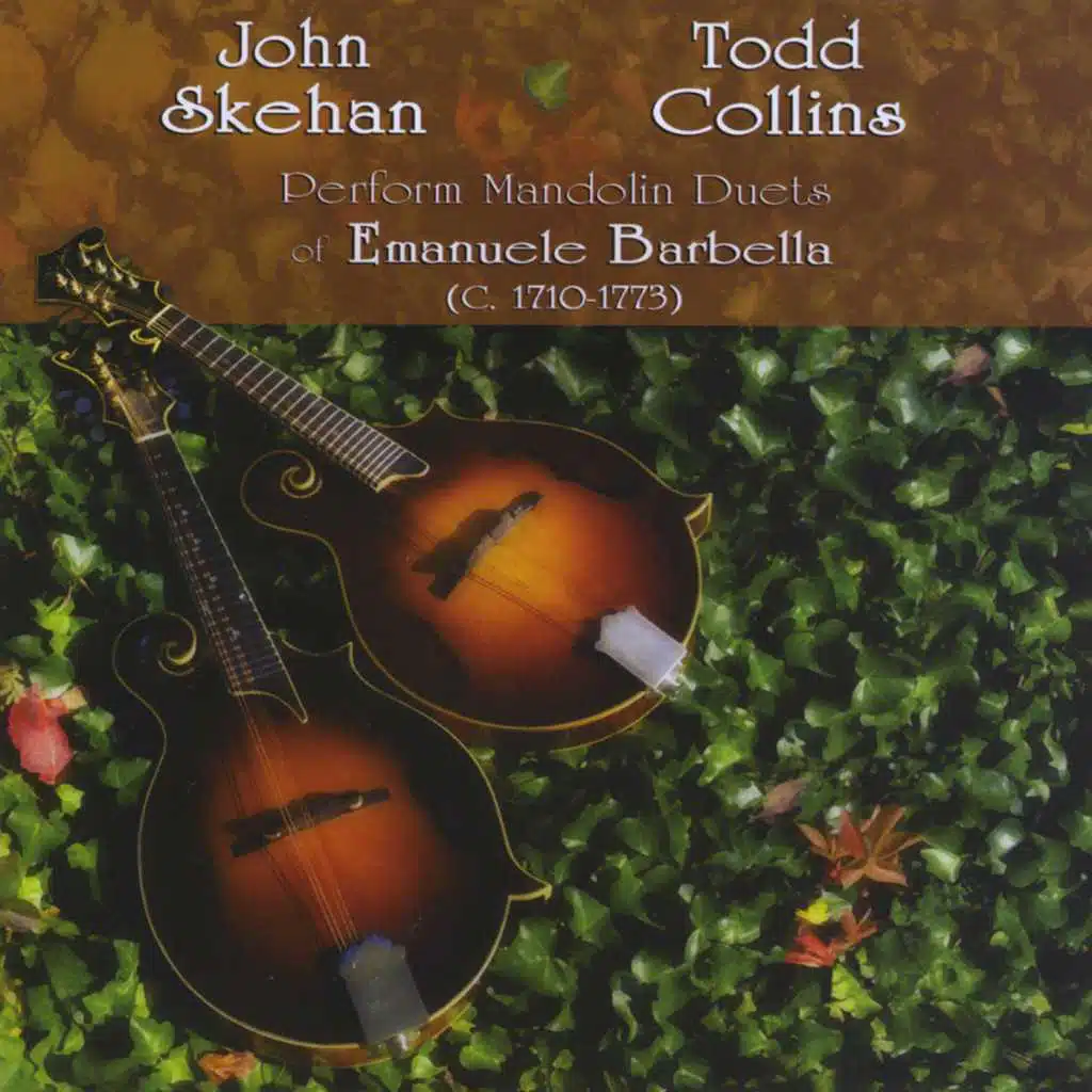 Duo IV in D Major: I. Allegretto brillante e staccato