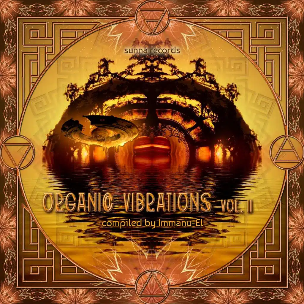Organic Vibrations, Vol. 2