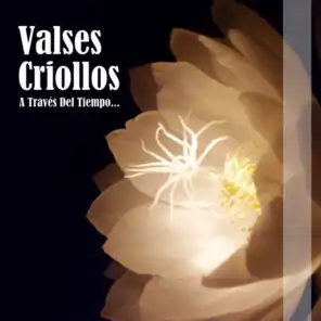 Palomita Blanca (feat. Aníbal Troilo)